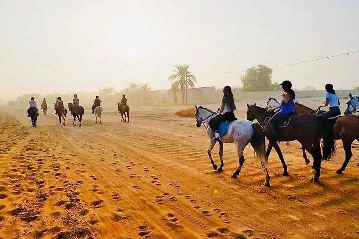 Dream Beach Hostel دبي